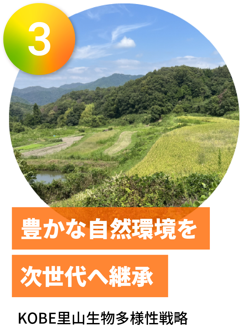 豊かな自然環境を次世代へ継承