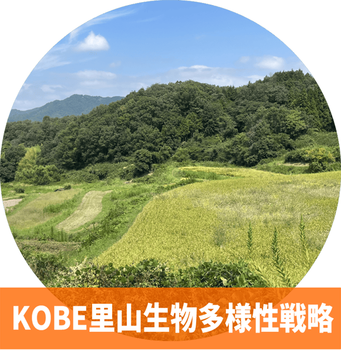 KOBE里山生物多様性戦略